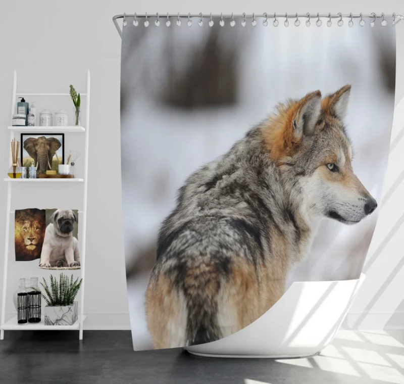 Wolf Mysterious Aura Shower Curtain