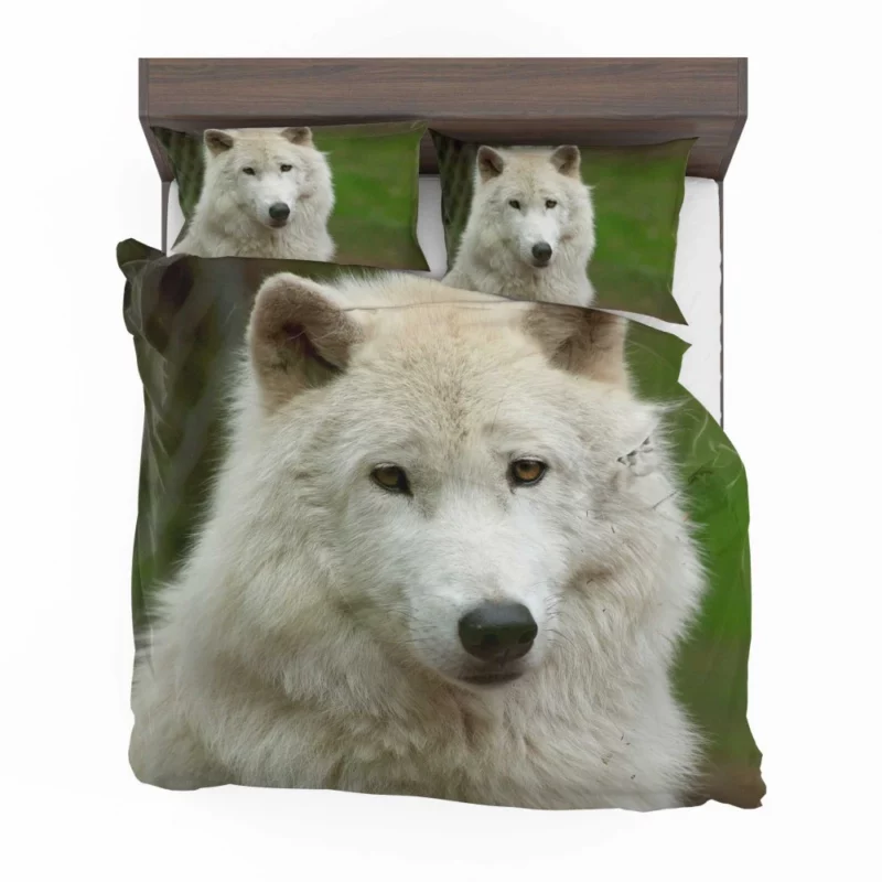 Wolf Penetrating Stare Bedding Set 1