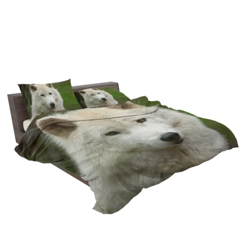 Wolf Penetrating Stare Bedding Set 2