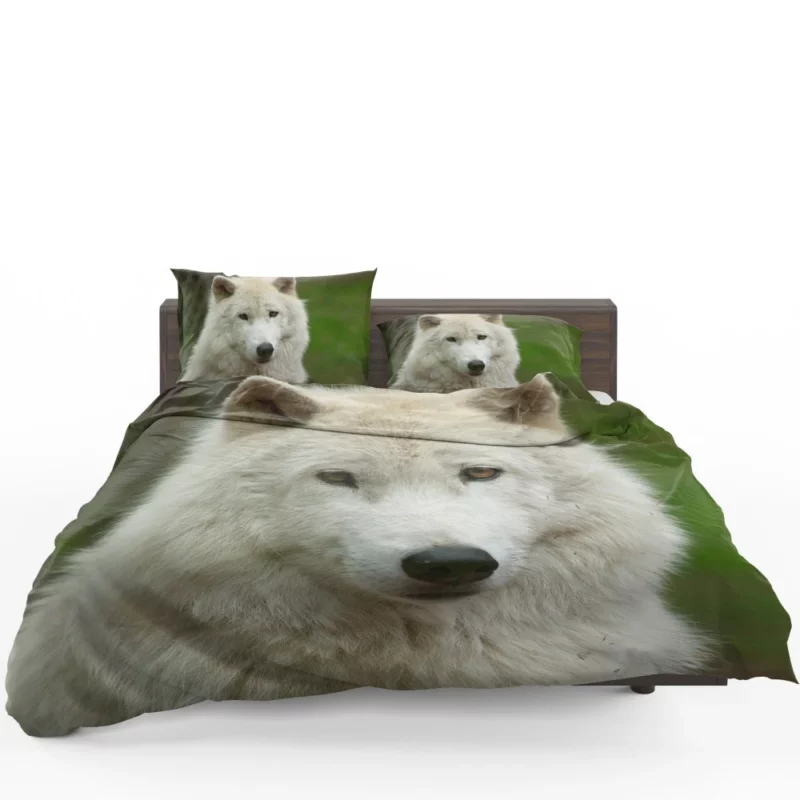 Wolf Penetrating Stare Bedding Set