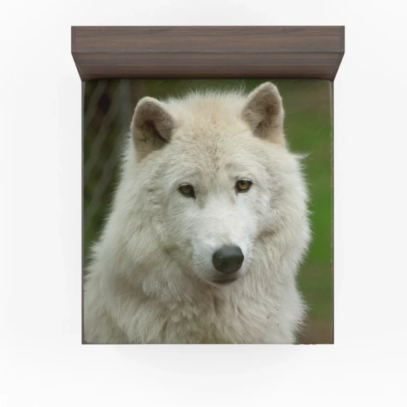 Wolf Penetrating Stare Fitted Sheet 1