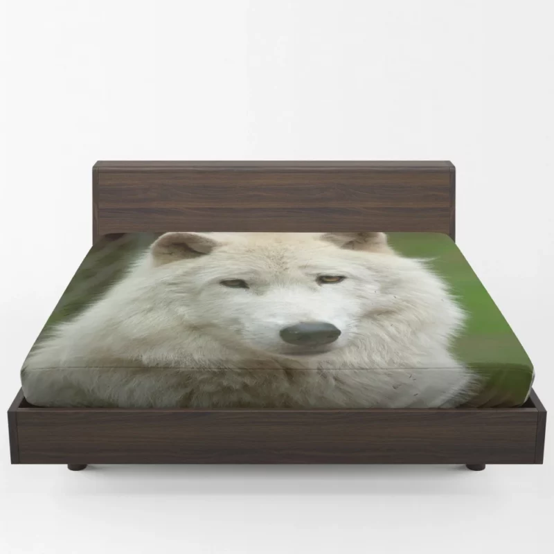 Wolf Penetrating Stare Fitted Sheet