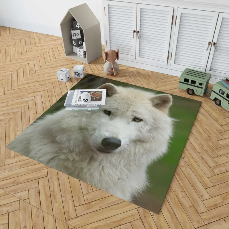 Wolf Penetrating Stare Rug 1