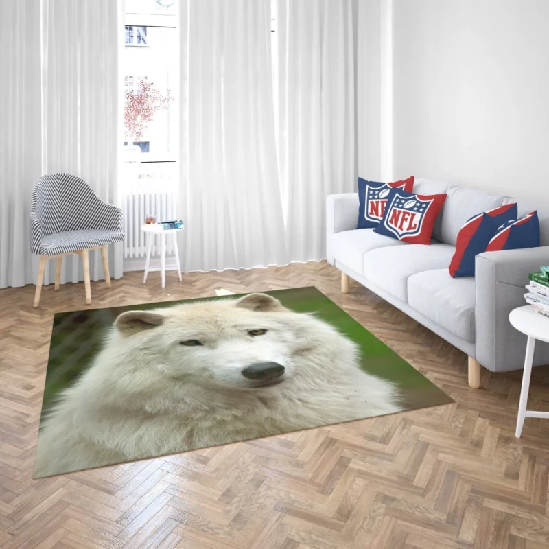 Wolf Penetrating Stare Rug 2