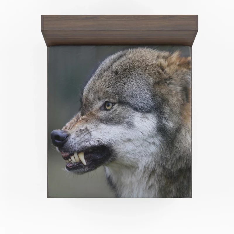 Wolf Snarl Untamed Majesty Fitted Sheet 1