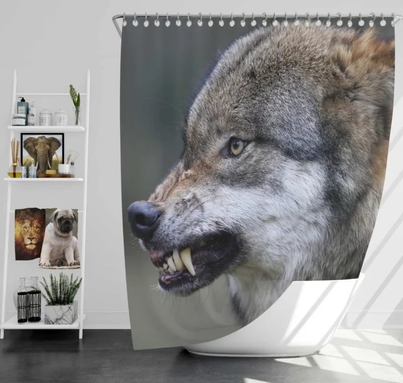 Wolf Snarl Untamed Majesty Shower Curtain