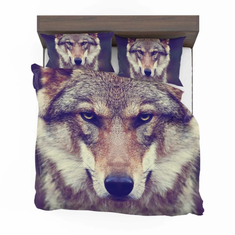 Wolf Stare Amidst Wilderness Bedding Set 1