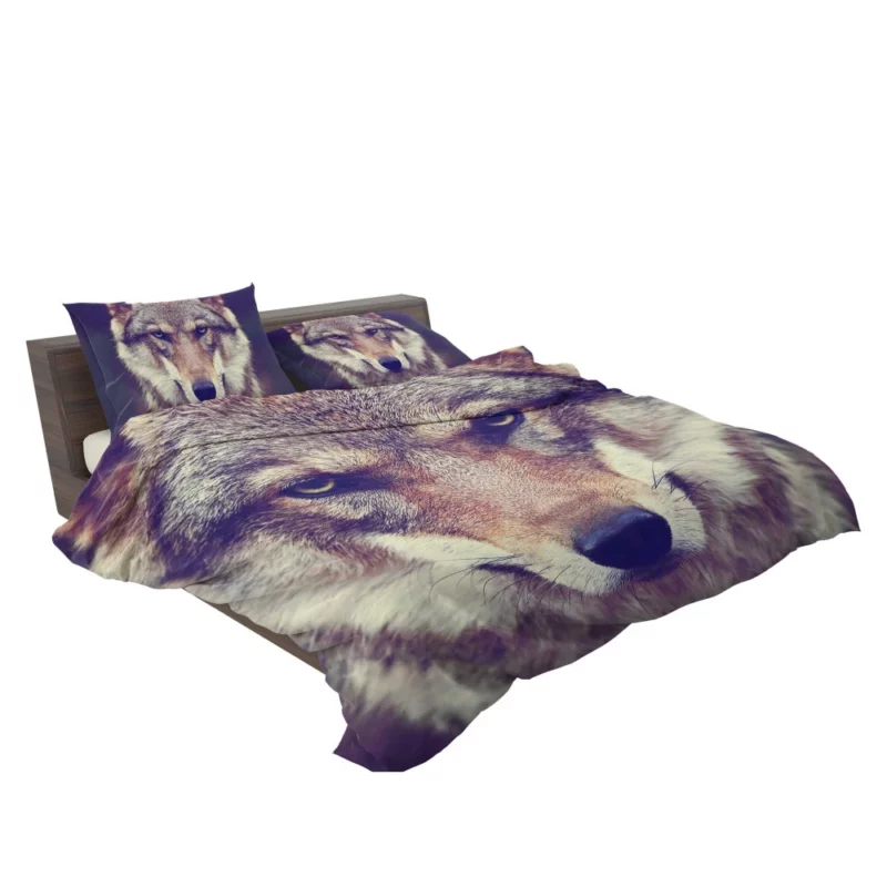 Wolf Stare Amidst Wilderness Bedding Set 2