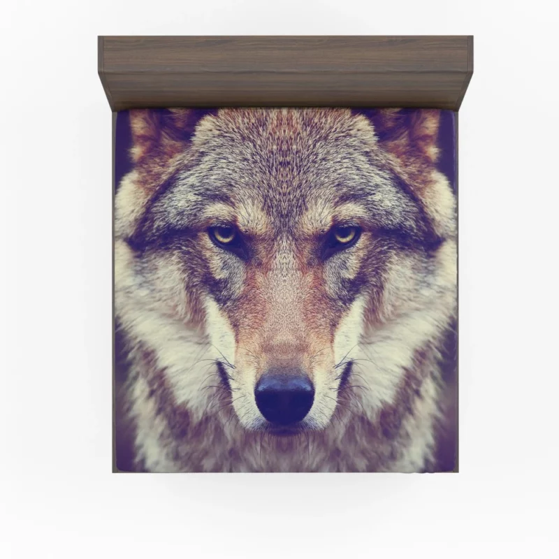 Wolf Stare Amidst Wilderness Fitted Sheet 1