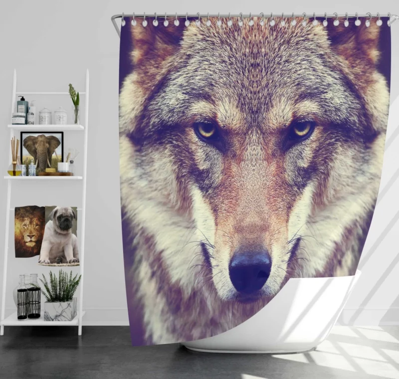 Wolf Stare Amidst Wilderness Shower Curtain