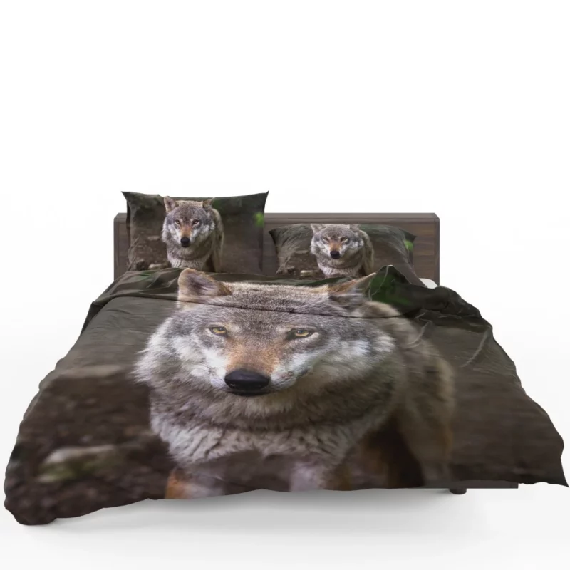 Wolf Stare in Bokeh Untamed Gaze Bedding Set