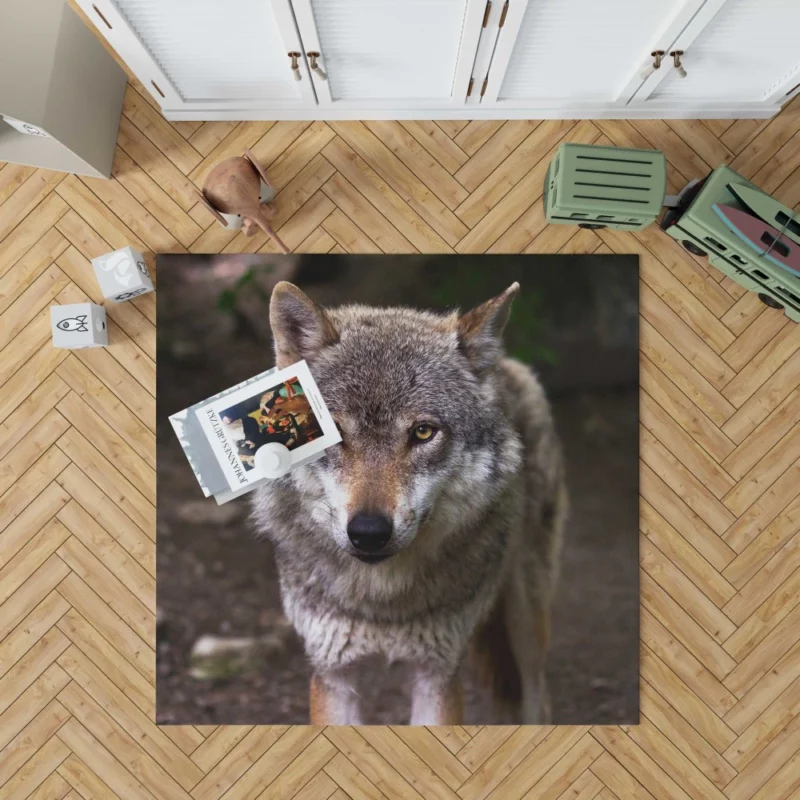 Wolf Stare in Bokeh Untamed Gaze Rug