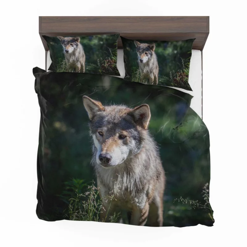 Wolf Untamed Wilderness Stare Bedding Set 1