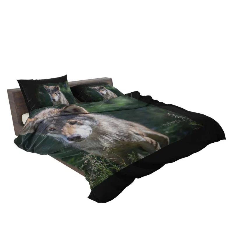 Wolf Untamed Wilderness Stare Bedding Set 2