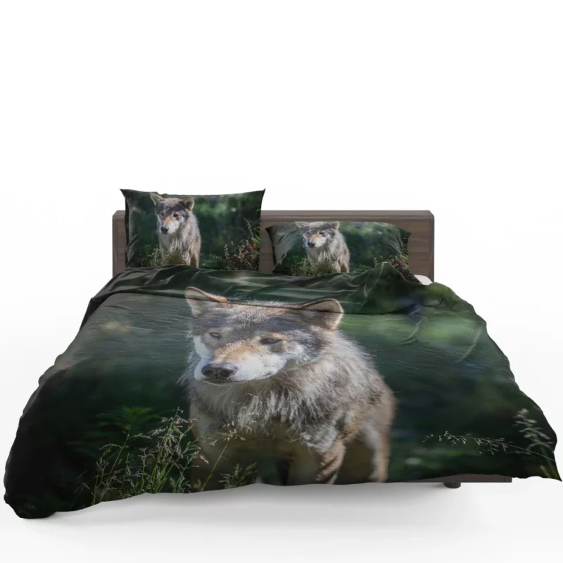 Wolf Untamed Wilderness Stare Bedding Set