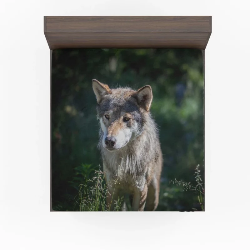 Wolf Untamed Wilderness Stare Fitted Sheet 1