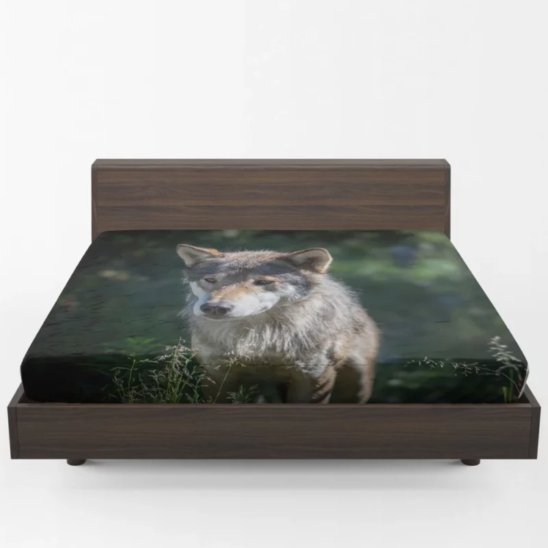 Wolf Untamed Wilderness Stare Fitted Sheet