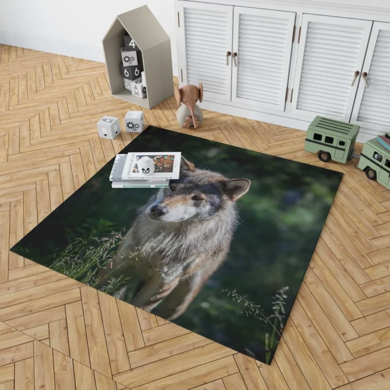 Wolf Untamed Wilderness Stare Rug 1