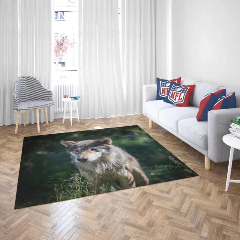 Wolf Untamed Wilderness Stare Rug 2