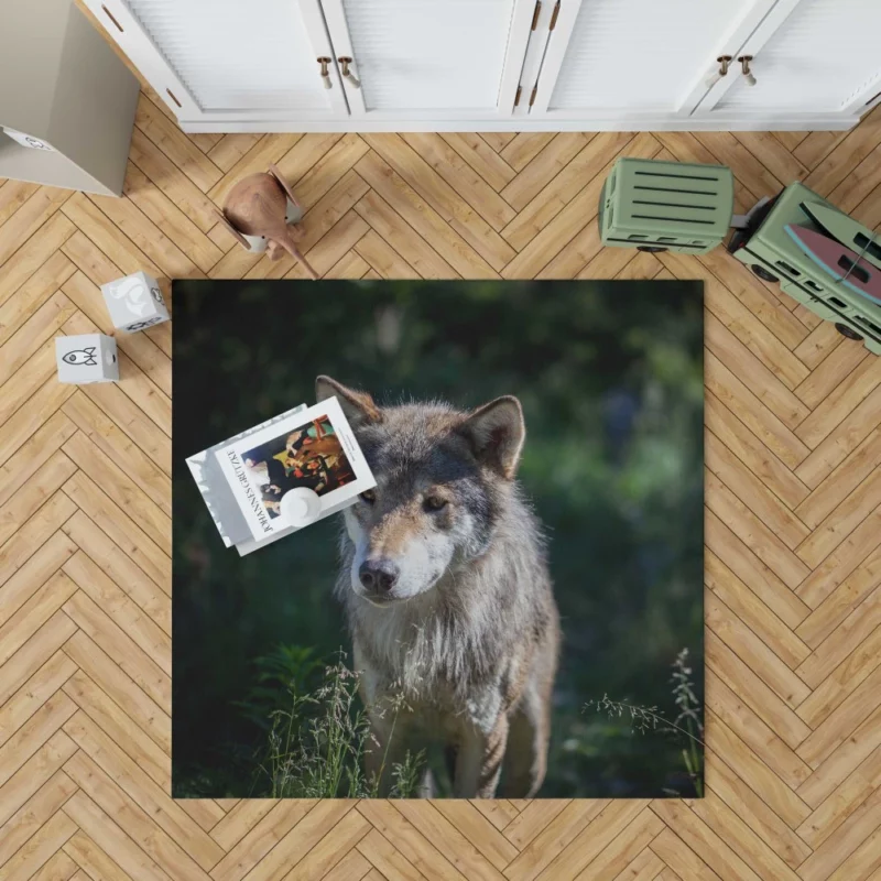 Wolf Untamed Wilderness Stare Rug