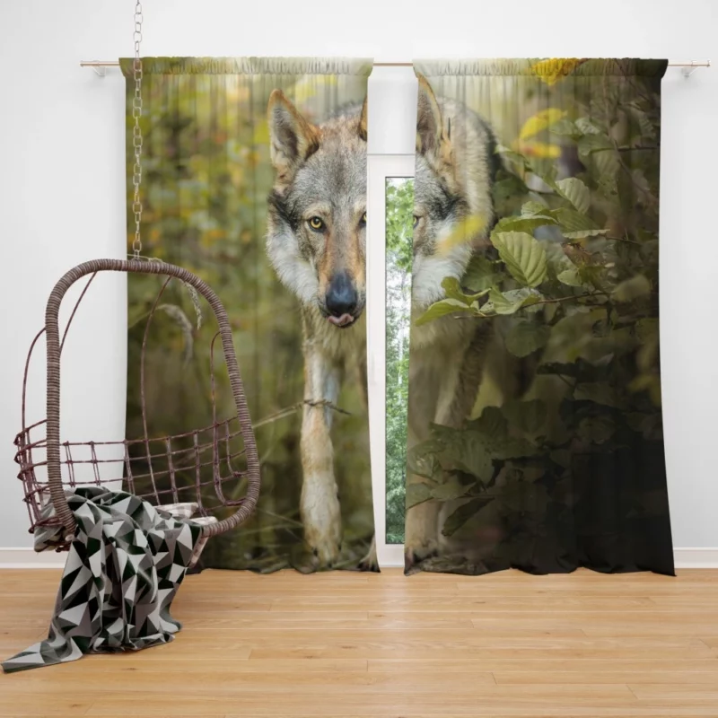 Wolf in Forest Majestic Wilderness Curtain