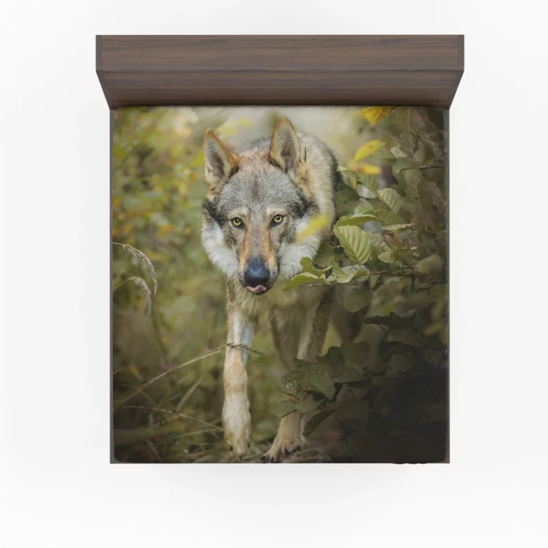 Wolf in Forest Majestic Wilderness Fitted Sheet 1