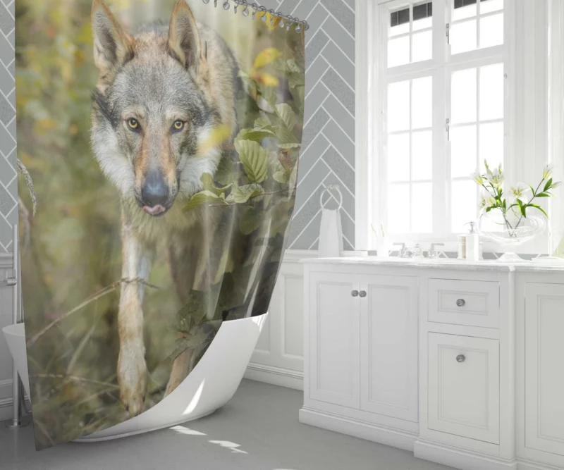 Wolf in Forest Majestic Wilderness Shower Curtain 1