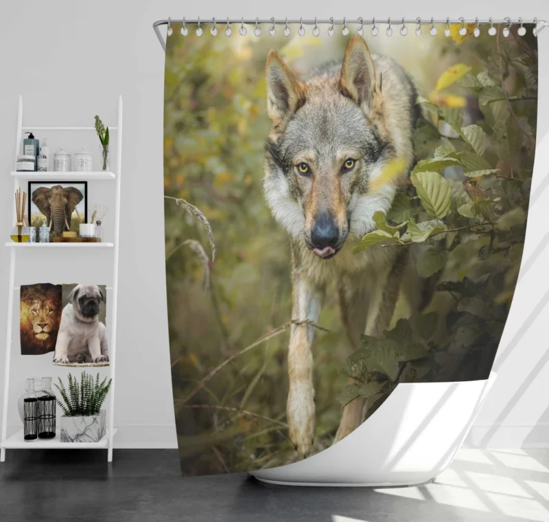 Wolf in Forest Majestic Wilderness Shower Curtain