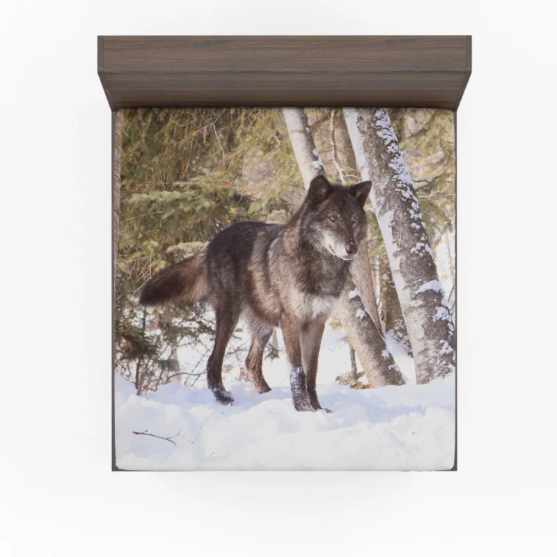 Wolf in Snow Wilderness Majesty Fitted Sheet 1