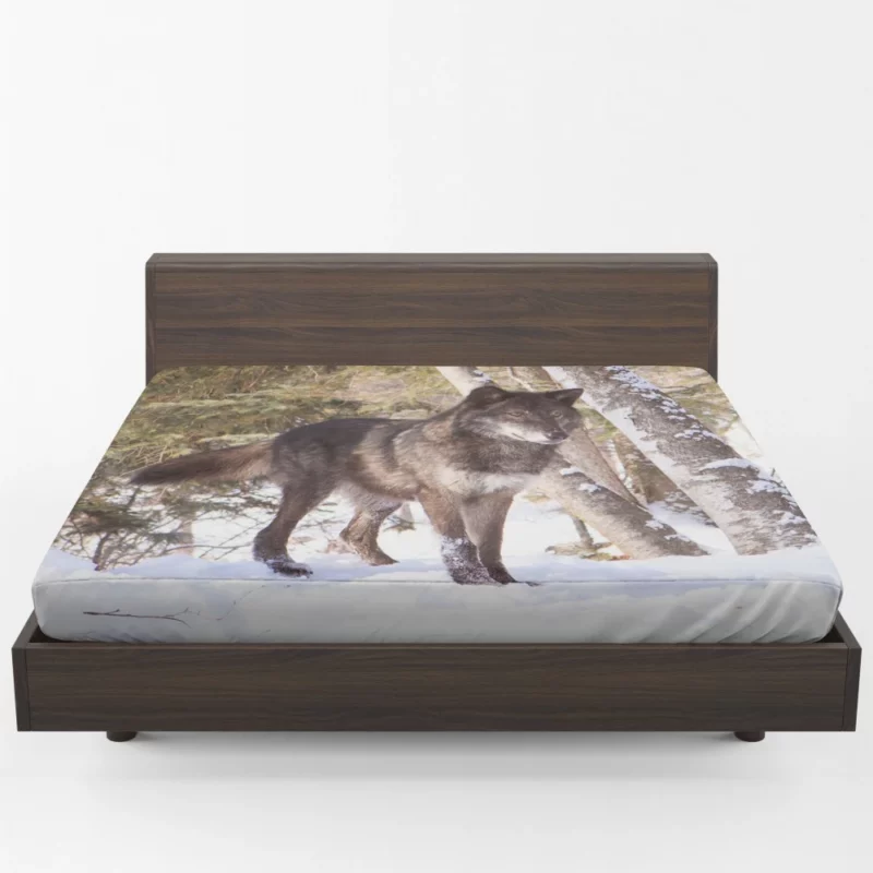 Wolf in Snow Wilderness Majesty Fitted Sheet