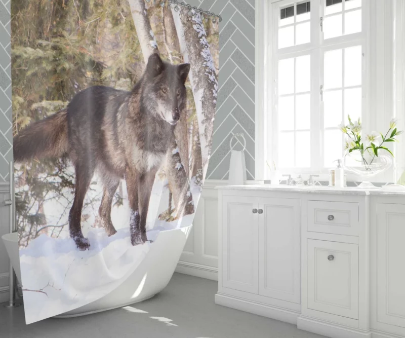 Wolf in Snow Wilderness Majesty Shower Curtain 1