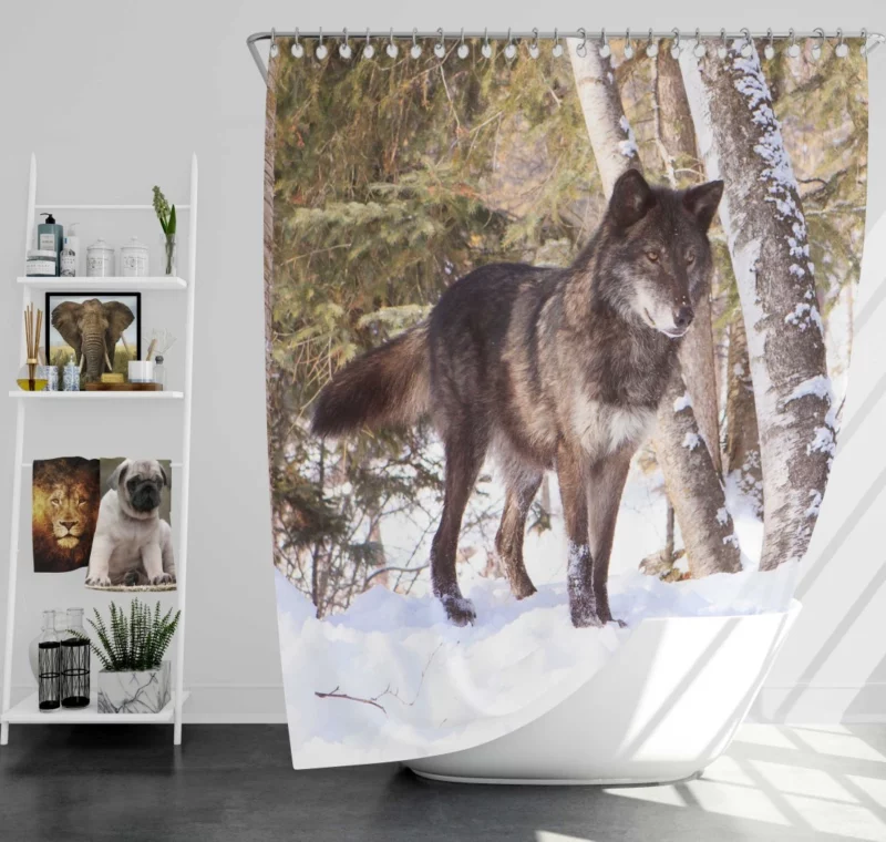 Wolf in Snow Wilderness Majesty Shower Curtain