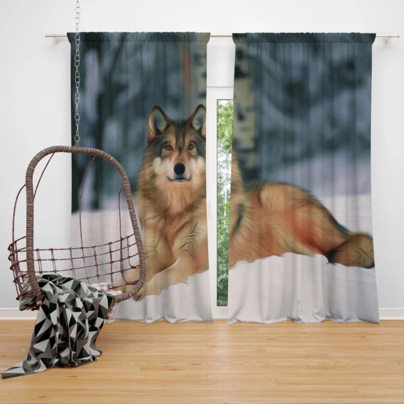 Wolf in Winter Scene Curtain