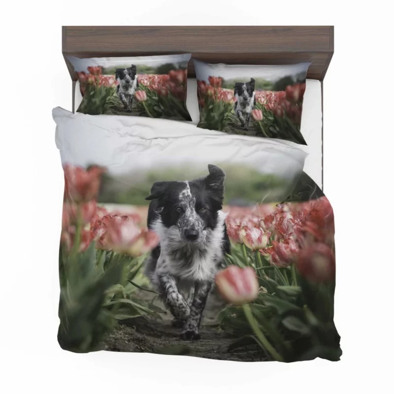 Wolfdog Depth of Field Essence Bedding Set 1