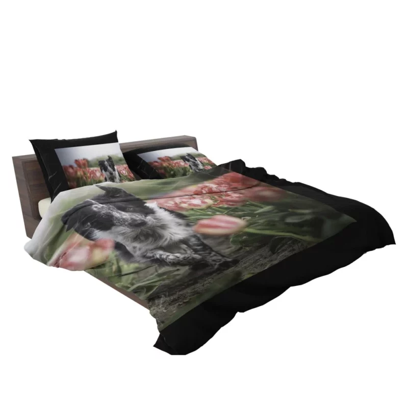 Wolfdog Depth of Field Essence Bedding Set 2