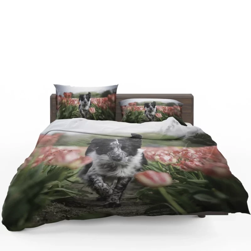 Wolfdog Depth of Field Essence Bedding Set