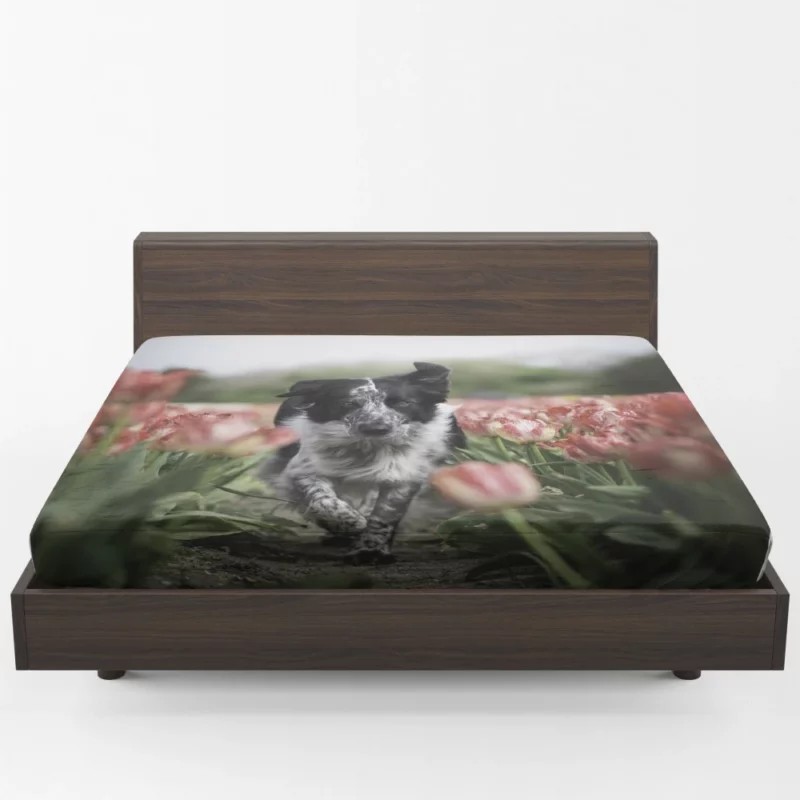 Wolfdog Depth of Field Essence Fitted Sheet