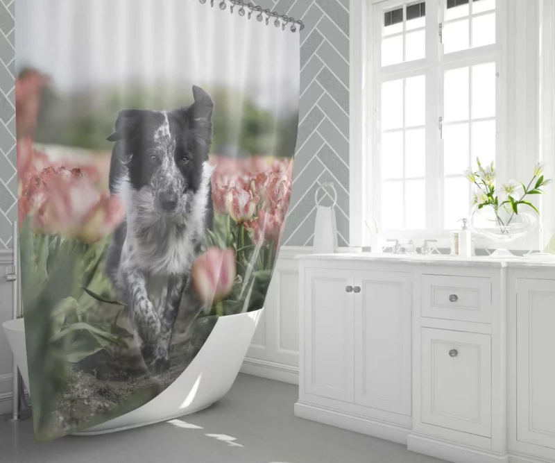 Wolfdog Depth of Field Essence Shower Curtain 1