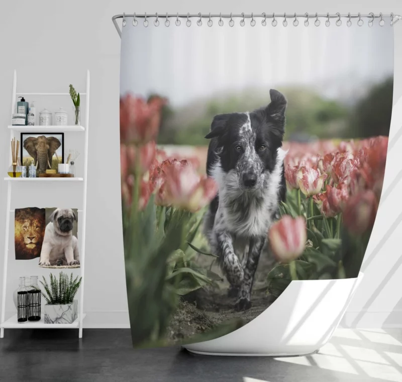 Wolfdog Depth of Field Essence Shower Curtain