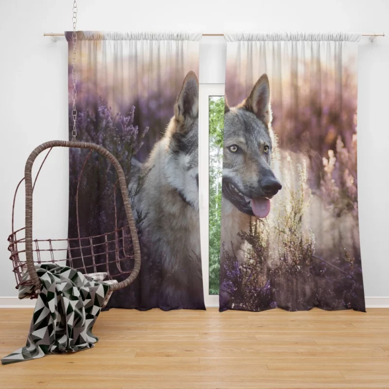 Wolfdog Enigmatic Wild Spirit Curtain