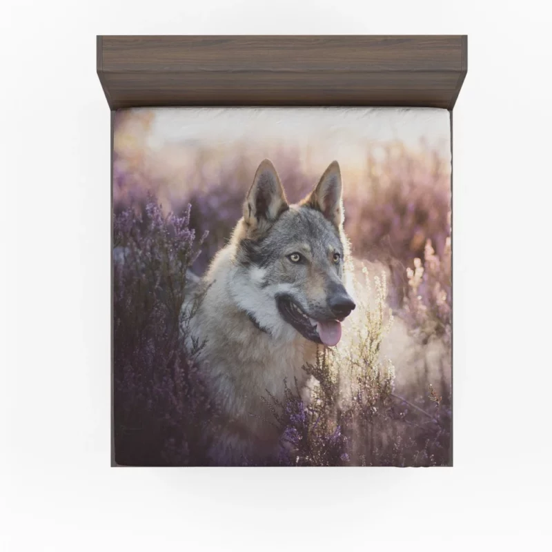 Wolfdog Enigmatic Wild Spirit Fitted Sheet 1