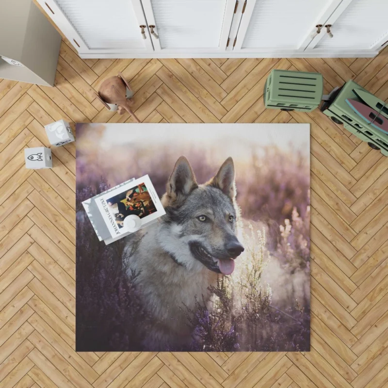 Wolfdog Enigmatic Wild Spirit Rug