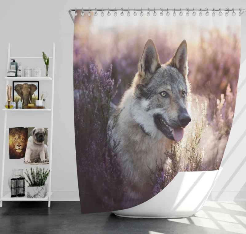 Wolfdog Enigmatic Wild Spirit Shower Curtain