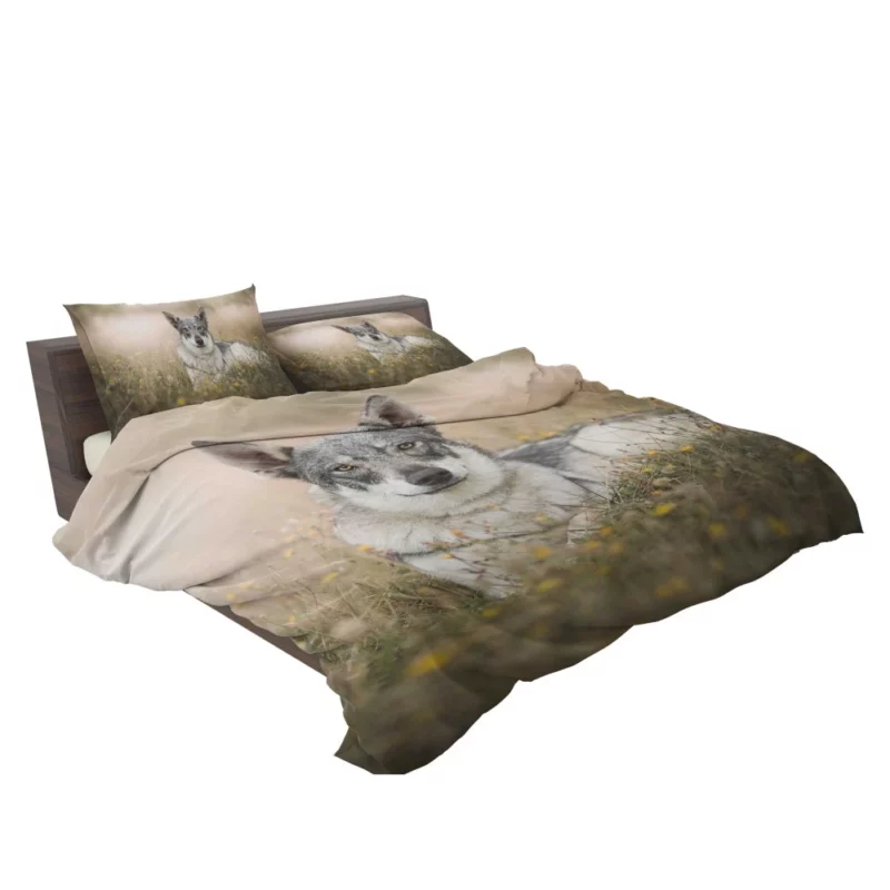 Wolfdog Intense Stare Wilderness Charm Bedding Set 2