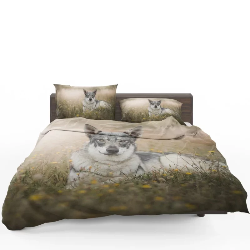 Wolfdog Intense Stare Wilderness Charm Bedding Set