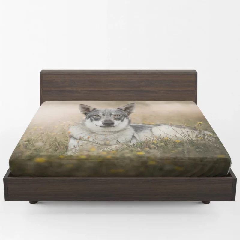 Wolfdog Intense Stare Wilderness Charm Fitted Sheet