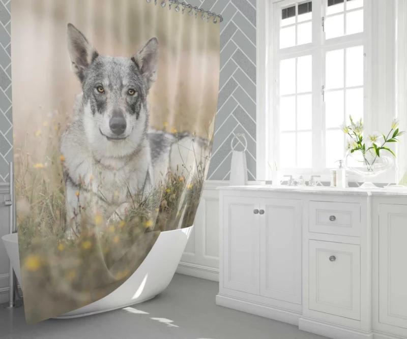 Wolfdog Intense Stare Wilderness Charm Shower Curtain 1