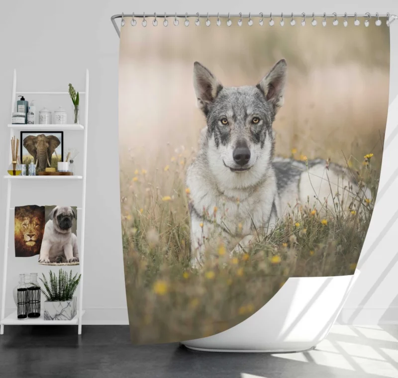 Wolfdog Intense Stare Wilderness Charm Shower Curtain