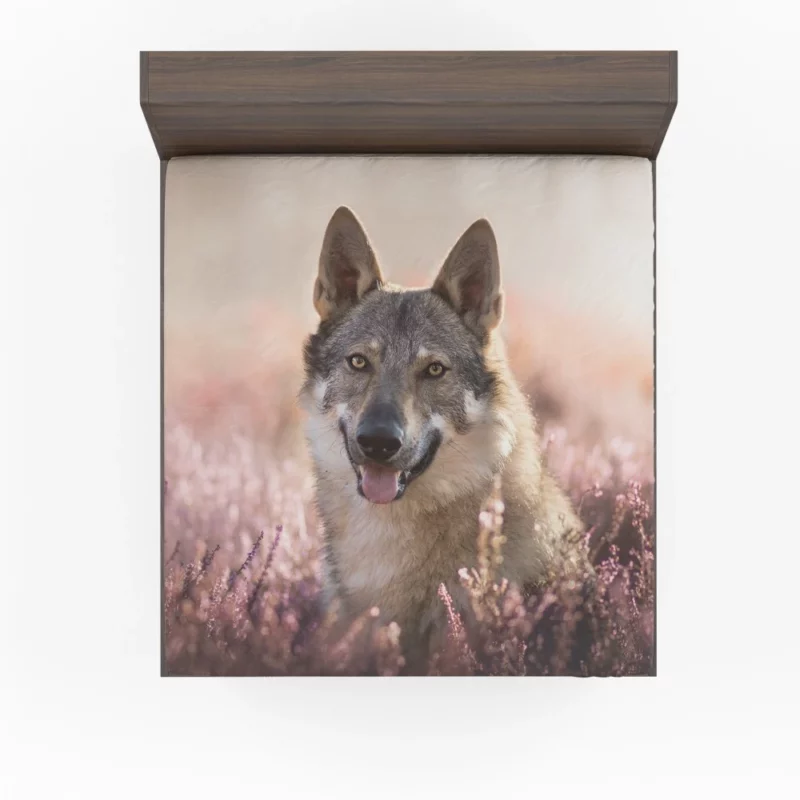 Wolfdog Lavender Charm Enigmatic Aura Fitted Sheet 1