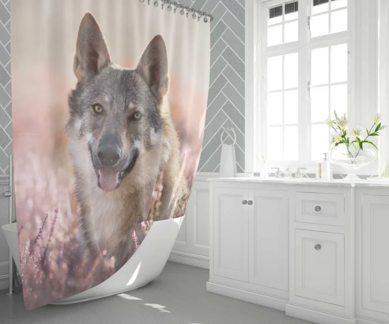 Wolfdog Lavender Charm Enigmatic Aura Shower Curtain 1